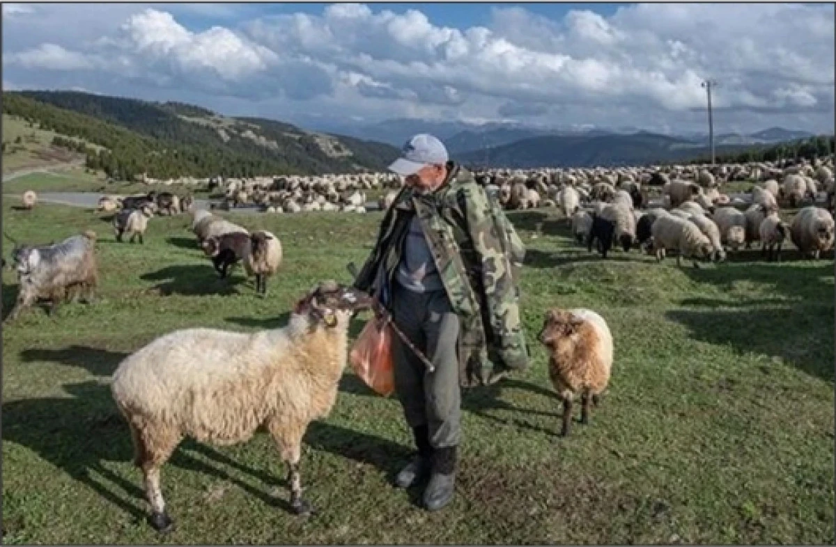 Başvurular nisan ayında başlıyor