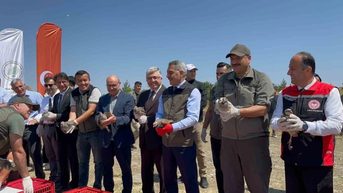 Bin keklik doğaya bırakıldı