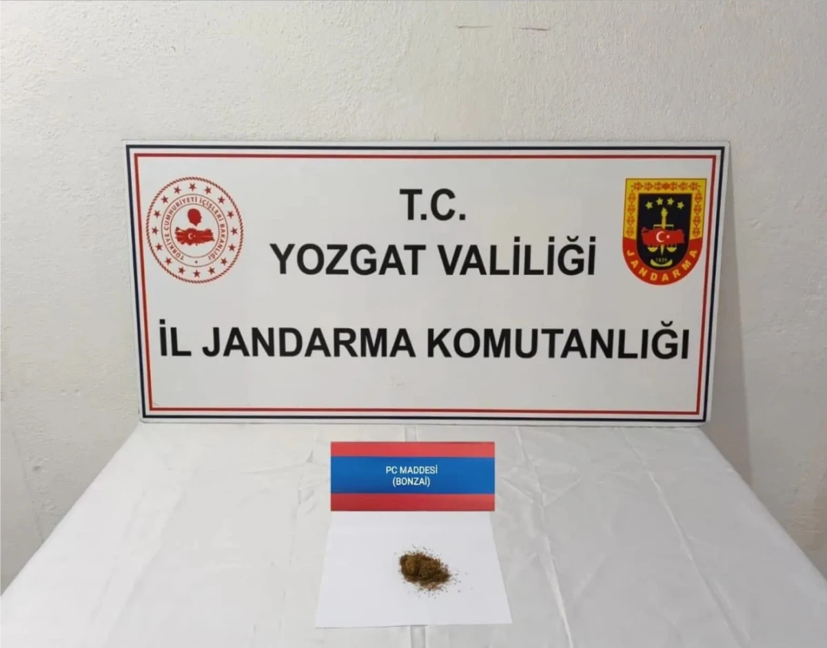 Bonzai ele geçirildi