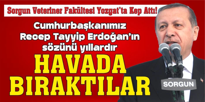 Cumhurbaşkanımız Recep Tayyip Erdoğan’ın sözünü yıllardır  HAVADA BIRAKTILAR