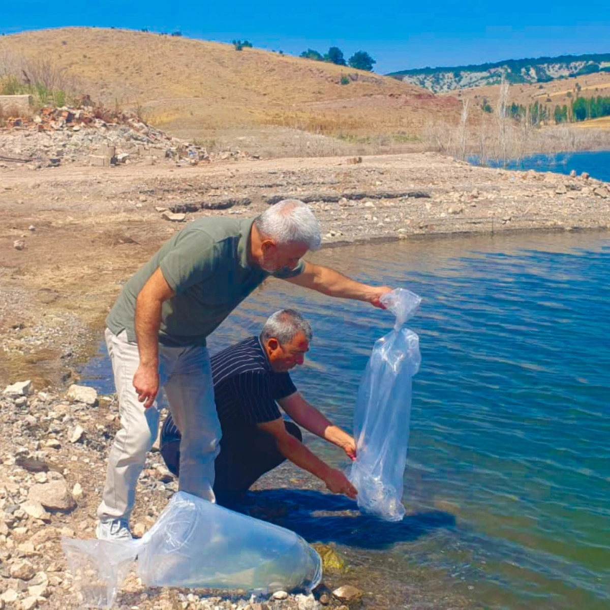 Göletlere 120 bin yavru balık bırakıldı