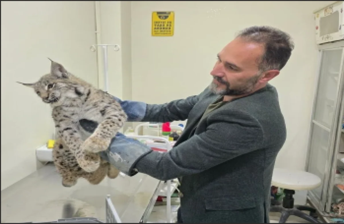 GÖREVLİLERE TESLİM EDİLDİ