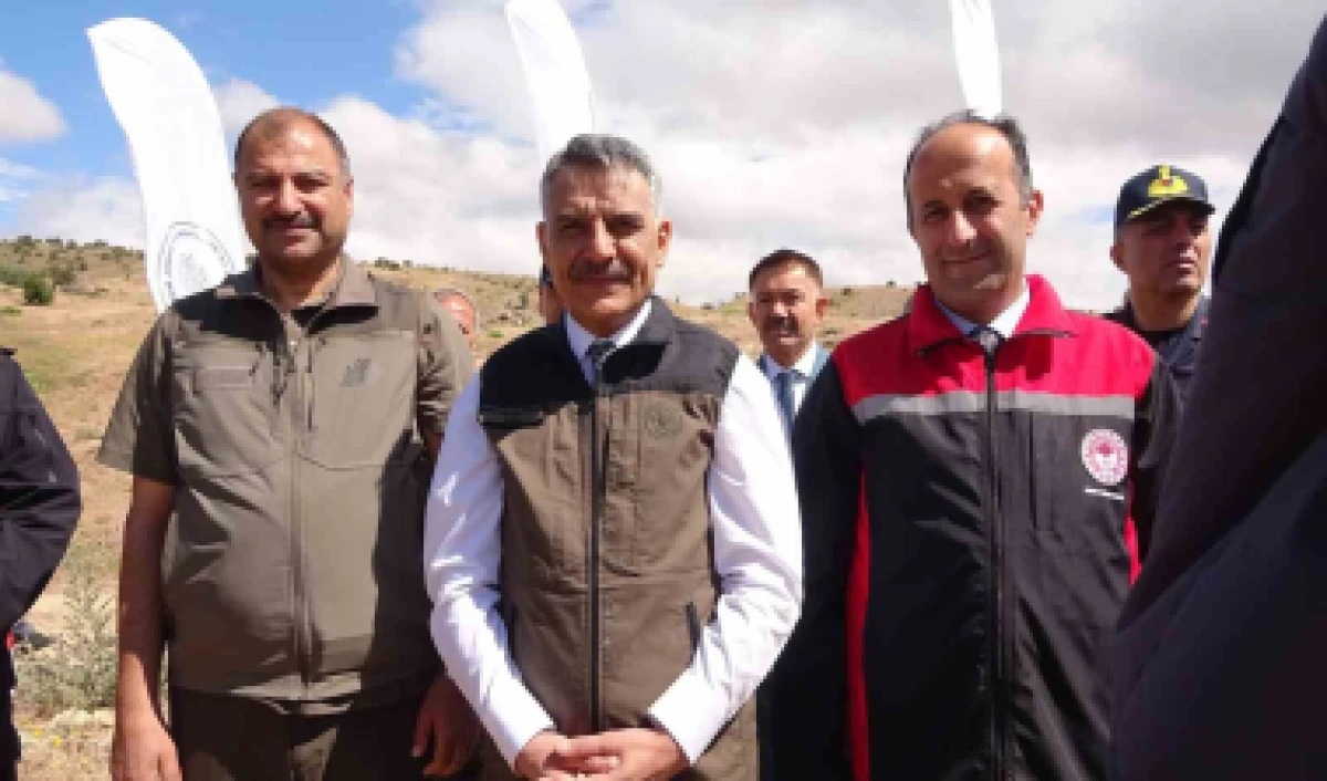 Keklikler doğaya salındı