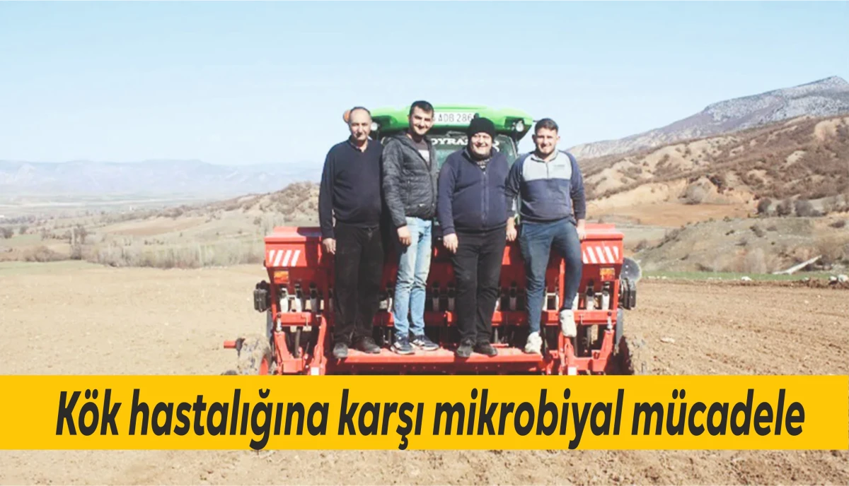 K&ouml;k hastalığına karşı mikrobiyal m&uuml;cadele