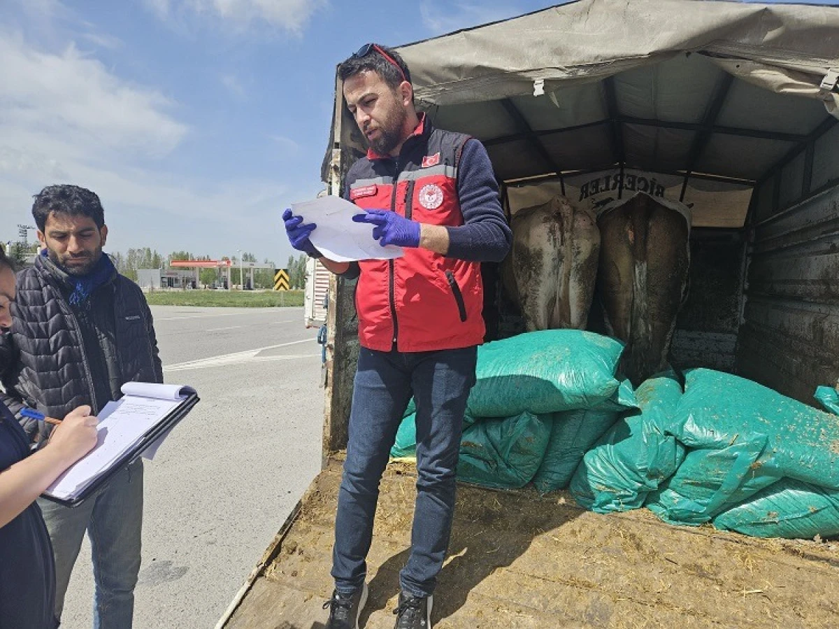 Kurbanlık sevklerine sıkı denetim