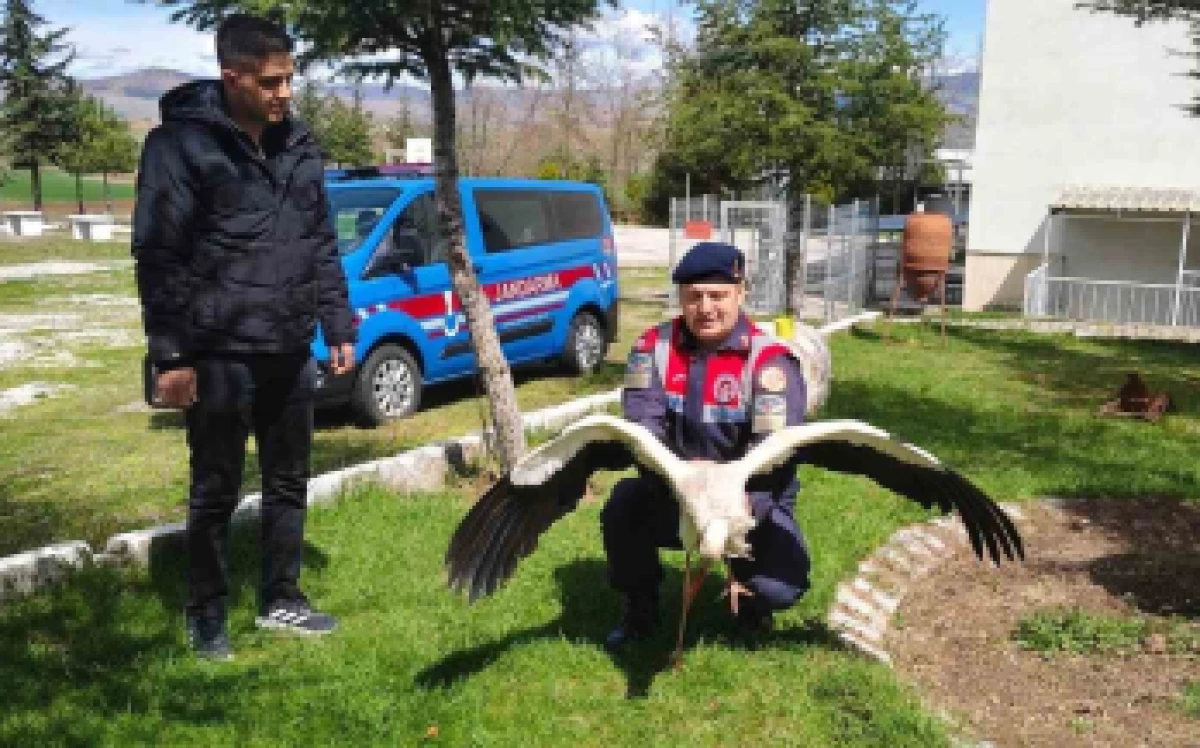 LEYLEK KORUMA ALTINDA