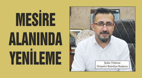 MESİRE ALANINDA YENİLEME