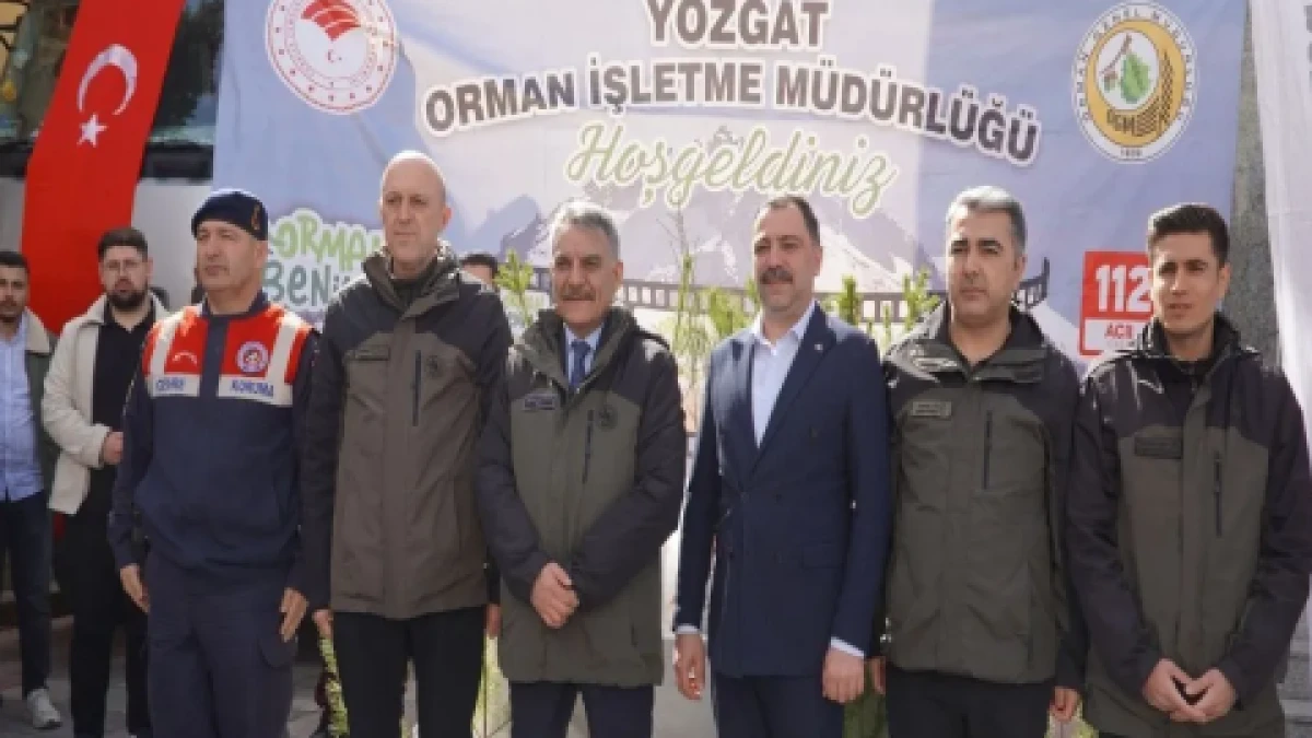 Sedir fidanı vatandaşa &uuml;cretsiz dağıtıldı