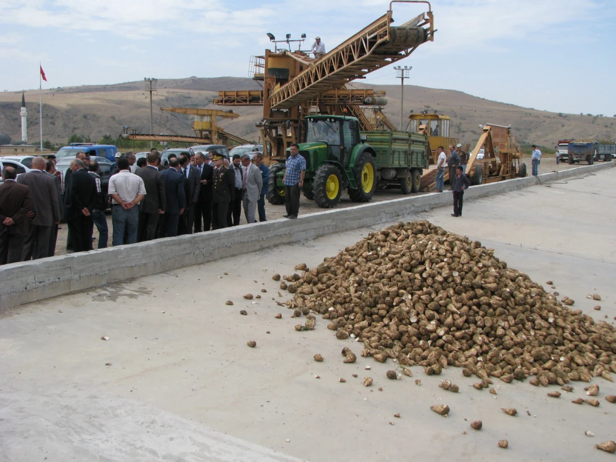 Sorgun Şeker Fabrikası&rsquo;nda 29. Pancar Alım Kampanyası Başladı