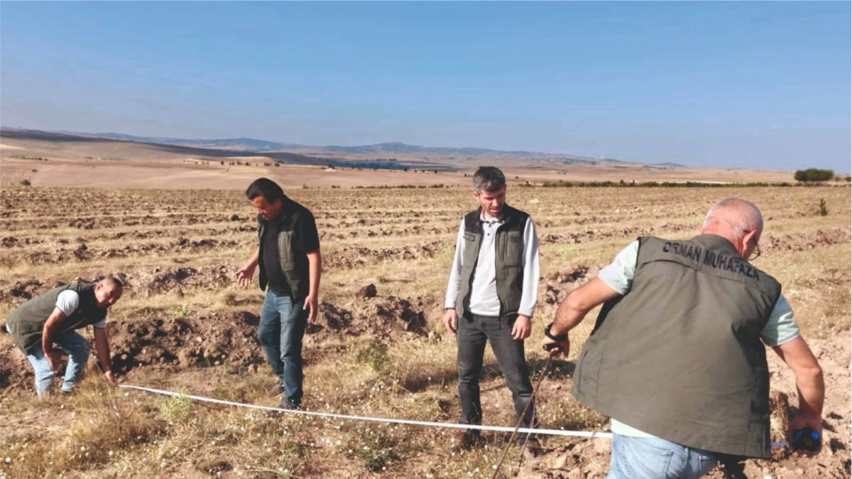 Sorgun&rsquo;da 50 hektarlık alan i&ccedil;in ağa&ccedil;landırma hazırlığı