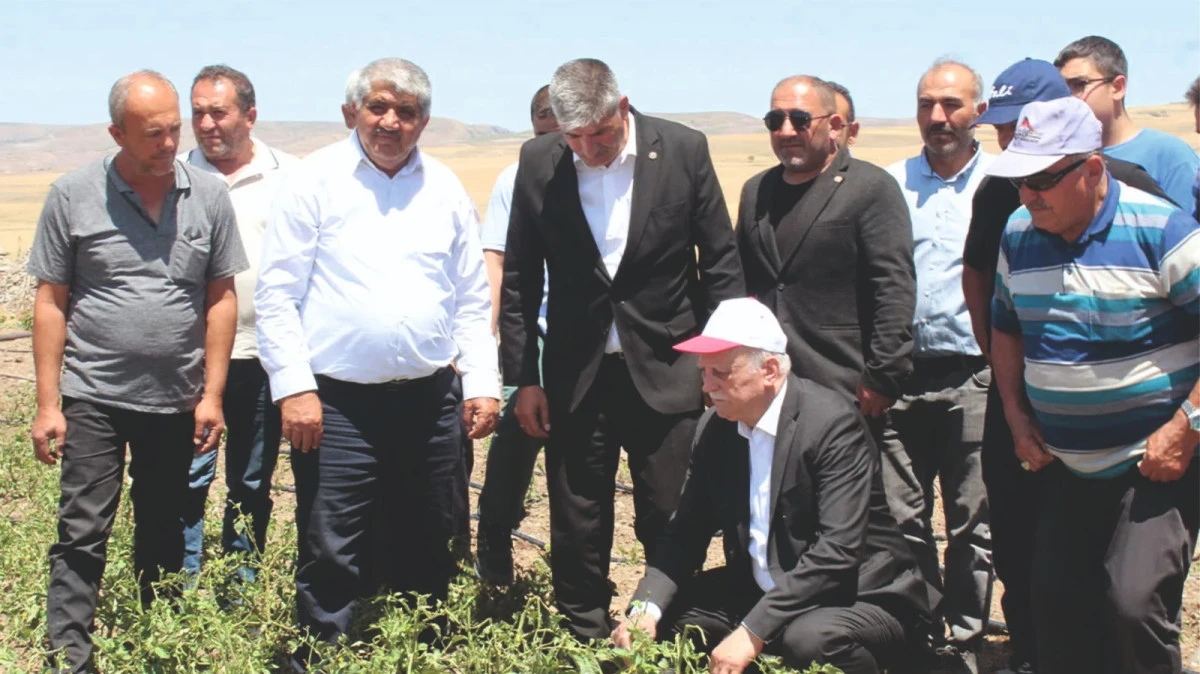 TZOB Y&ouml;neticisi Ey&uuml;p Elmalı: &Ccedil;ift&ccedil;ilerimizin Zararları Karşılanmalıdır