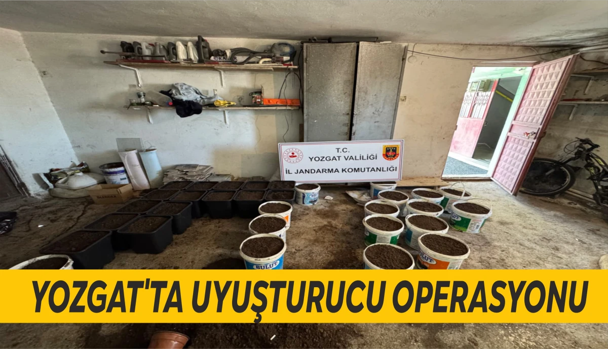 YOZGAT'TA UYUŞTURUCU OPERASYONU