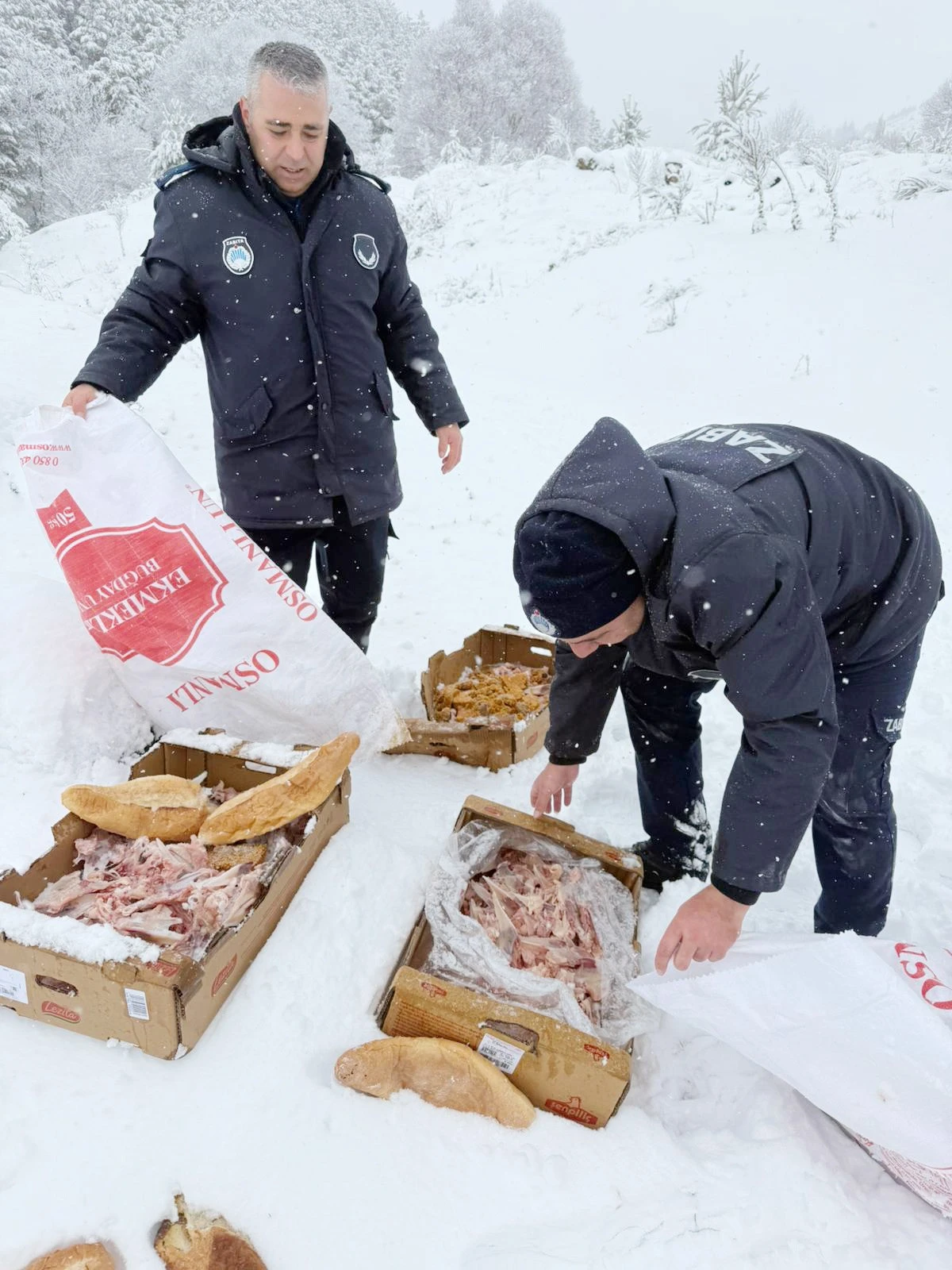 Zabıta ekipleri yabani hayvanlar i&ccedil;in yem bıraktı